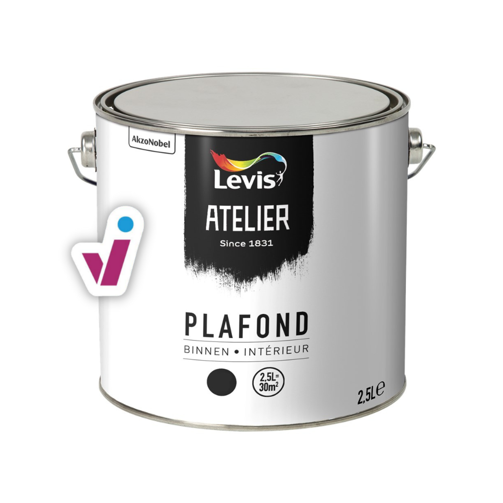 Levis Atelier Plafond